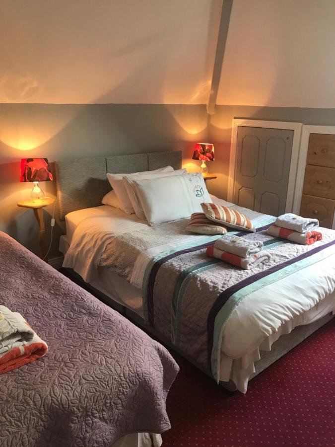 Aurora House Bed And Breakfast Athy Dış mekan fotoğraf