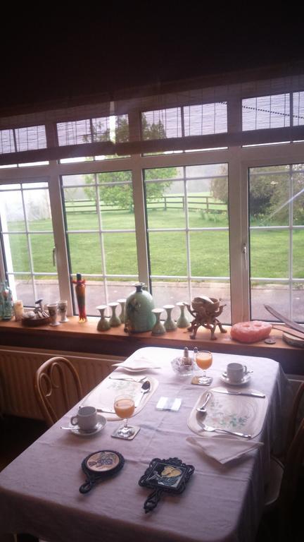 Aurora House Bed And Breakfast Athy Dış mekan fotoğraf